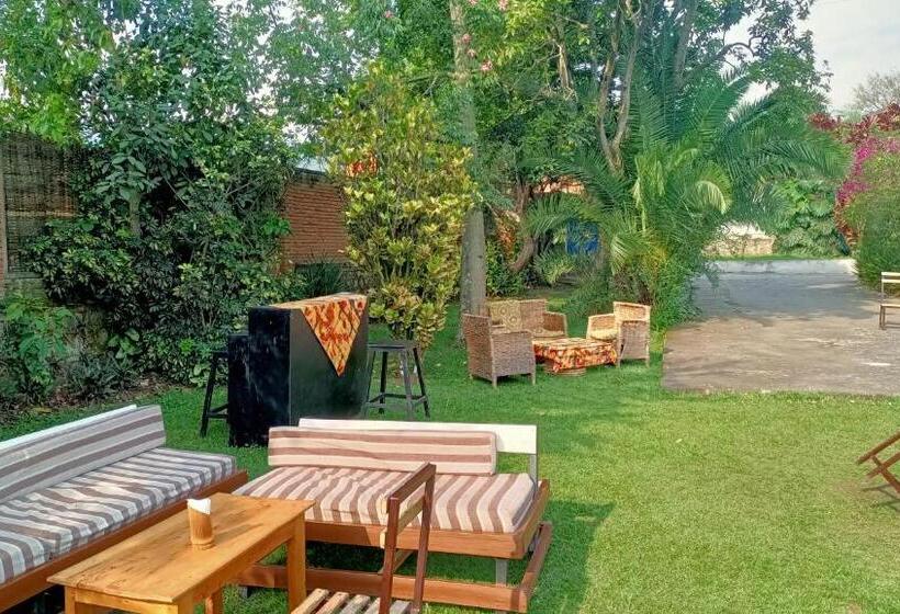 هتل Colibri Taverne & Guest House