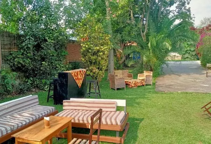 هتل Colibri Taverne & Guest House