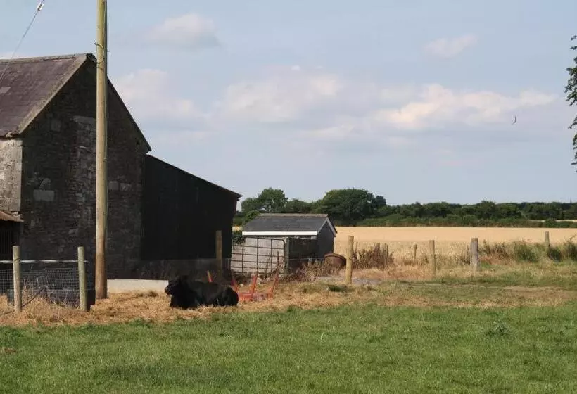 Bed and Breakfast Moate Lodge