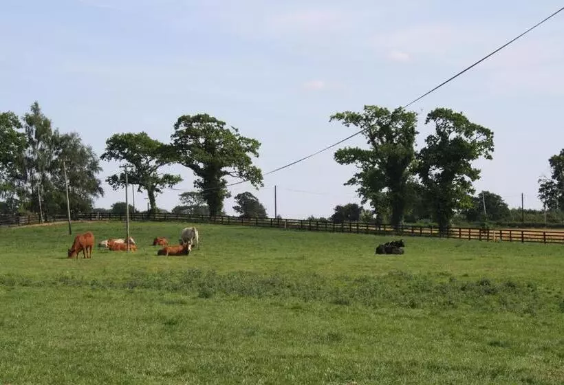 Bed and Breakfast Moate Lodge