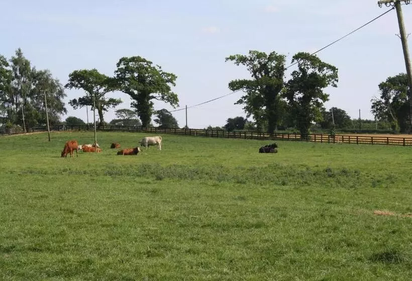 Bed and Breakfast Moate Lodge