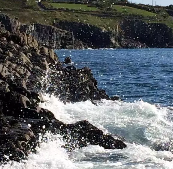 ベッドアンドブレックファースト Sandycove House