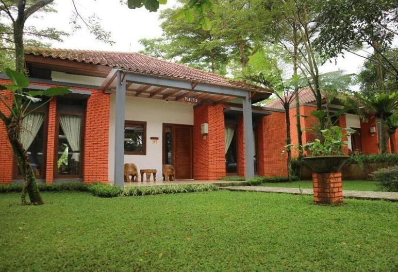 בית מלון כפרי Villa Bukit Pinus