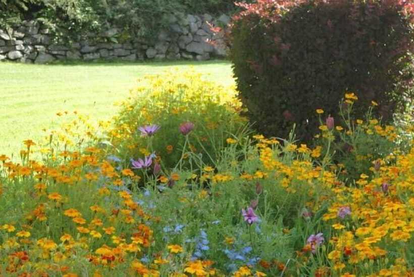 Millhouse Bed & Breakfast