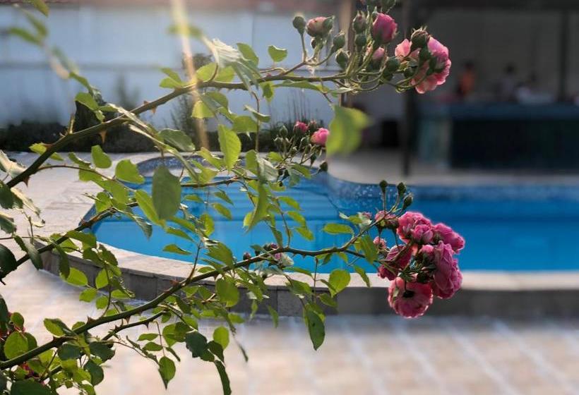 호텔 Galeria Apartments