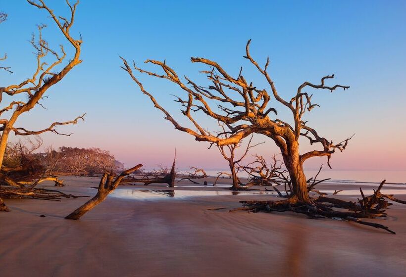 Hotel Jekyll Ocean Club Resort