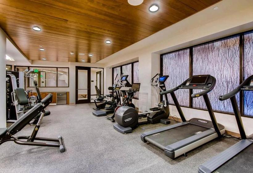 فندق The Lion Vail