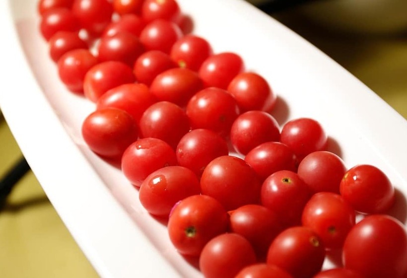 호텔 Metropolo Nanjiang Baijia Lake