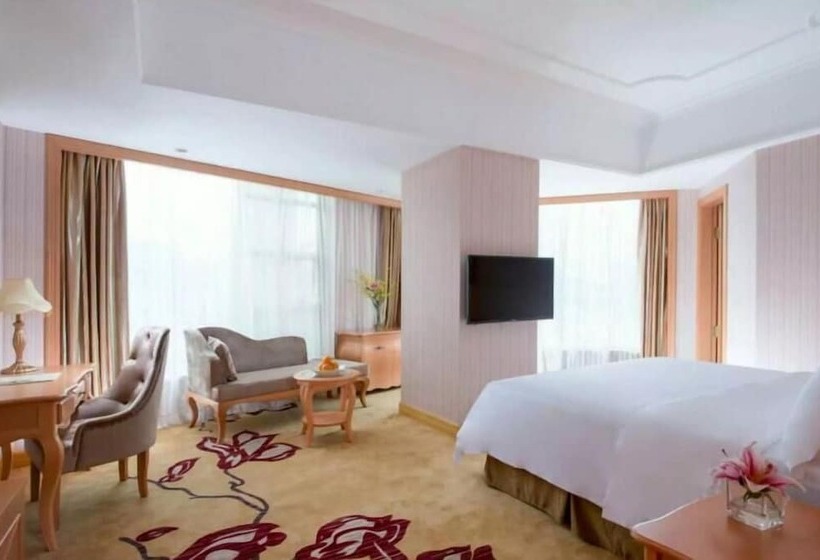 Vienna Hotels-yichen Main Store Longhua