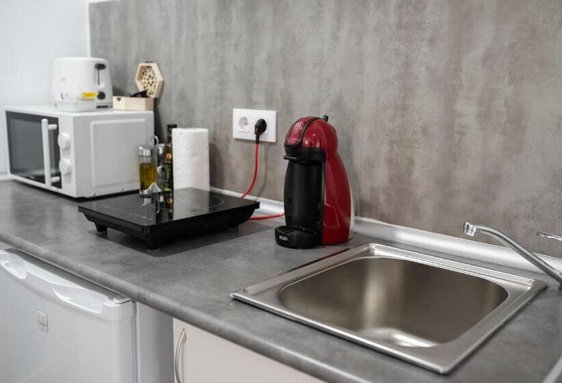 Apartamentos Turísticos Domus Seleqtia Plaza Mayor