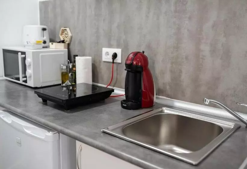 Apartamentos Turísticos Domus Seleqtia Plaza Mayor