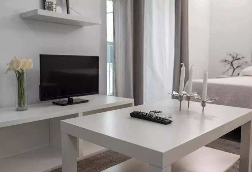 Apartamentos Turísticos Domus Seleqtia Plaza Mayor