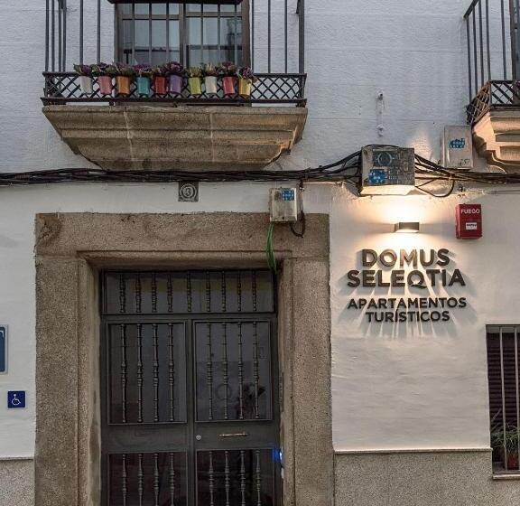 Apartamentos Turísticos Domus Seleqtia Plaza Mayor