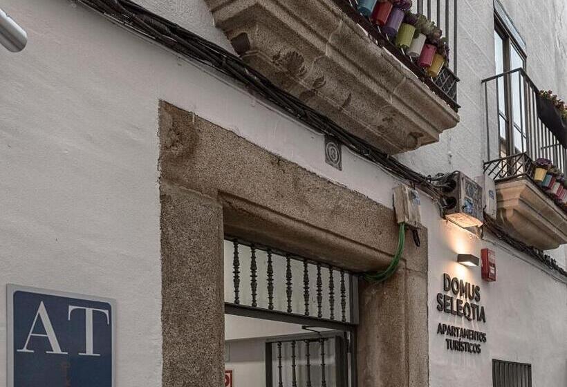 Apartamentos Turísticos Domus Seleqtia Plaza Mayor