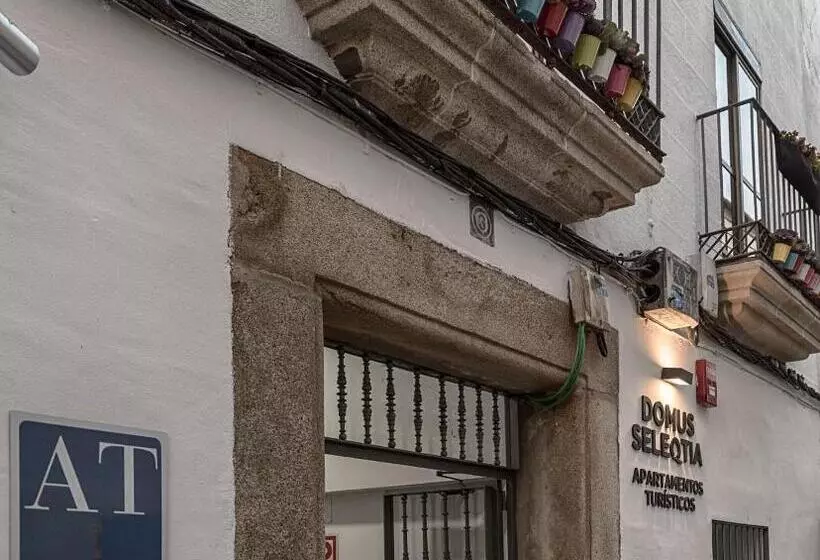 Apartamentos Turísticos Domus Seleqtia Plaza Mayor