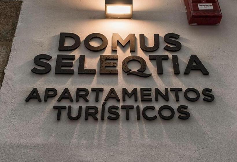 Apartamentos Turísticos Domus Seleqtia Plaza Mayor