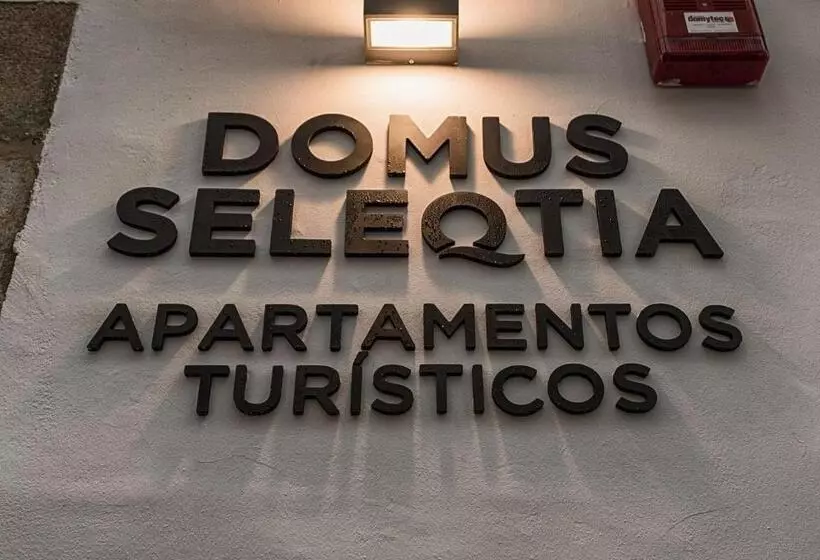 Apartamentos Turísticos Domus Seleqtia Plaza Mayor