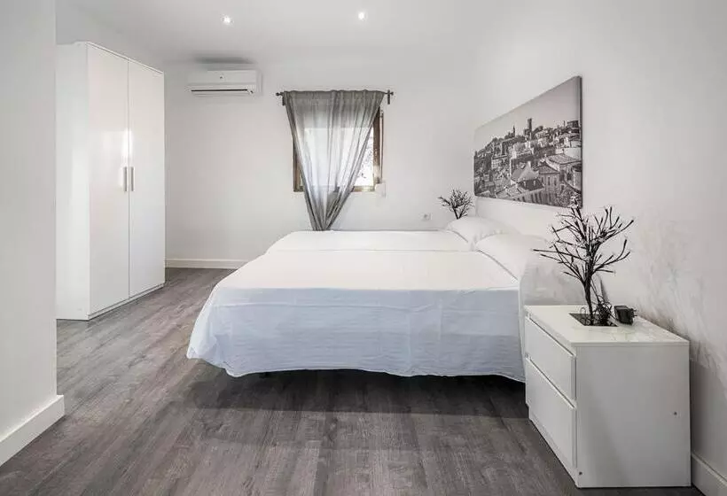 Apartamentos Turísticos Domus Seleqtia Plaza Mayor