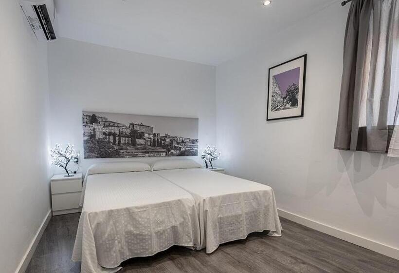 Apartamentos Turísticos Domus Seleqtia Plaza Mayor