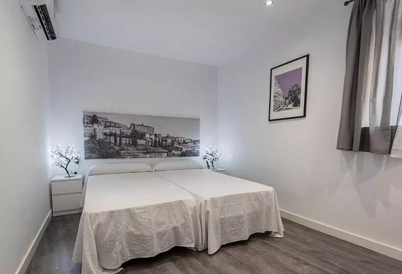 Apartamentos Turísticos Domus Seleqtia Plaza Mayor