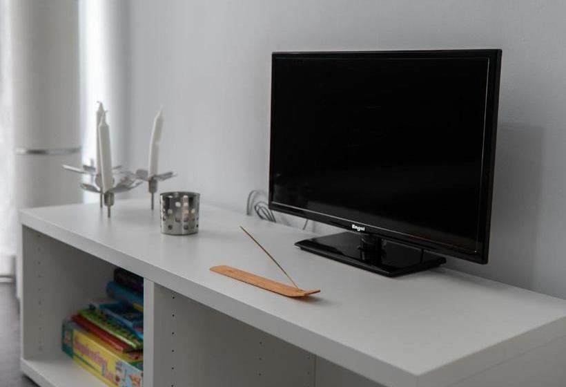 Apartamentos Turísticos Domus Seleqtia Plaza Mayor