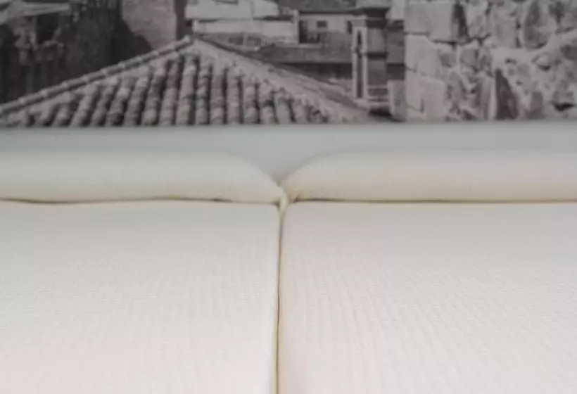 Apartamentos Turísticos Domus Seleqtia Plaza Mayor