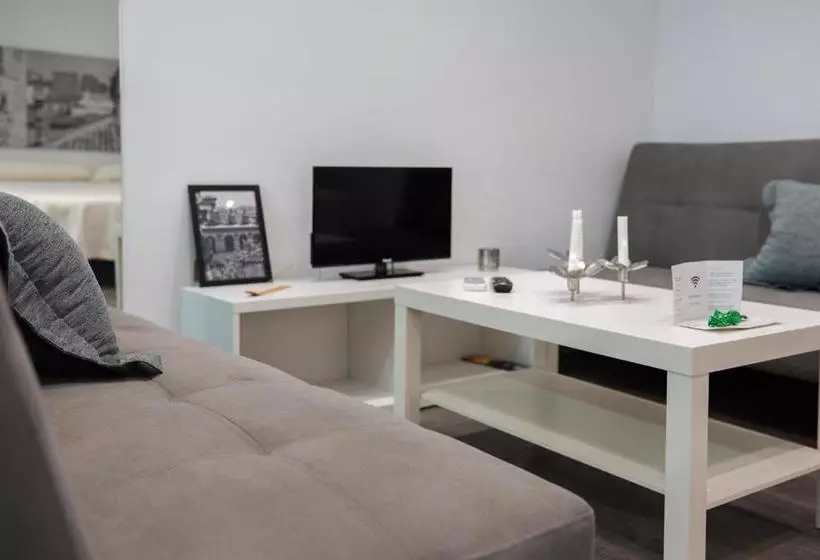 Apartamentos Turísticos Domus Seleqtia Plaza Mayor