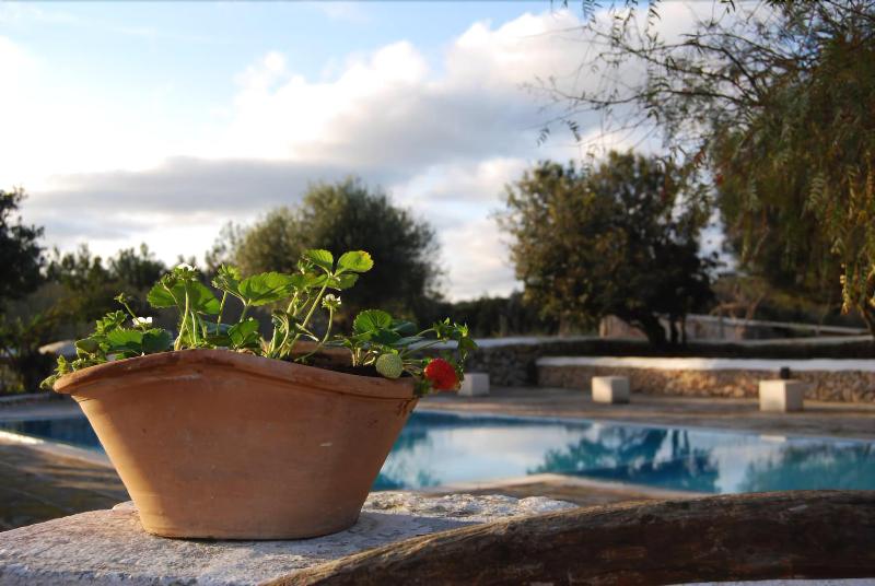 Hotel Turismo Rural Biniati Des Pi