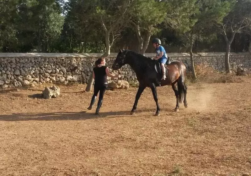 Hotelli Turismo Rural Biniati Des Pi
