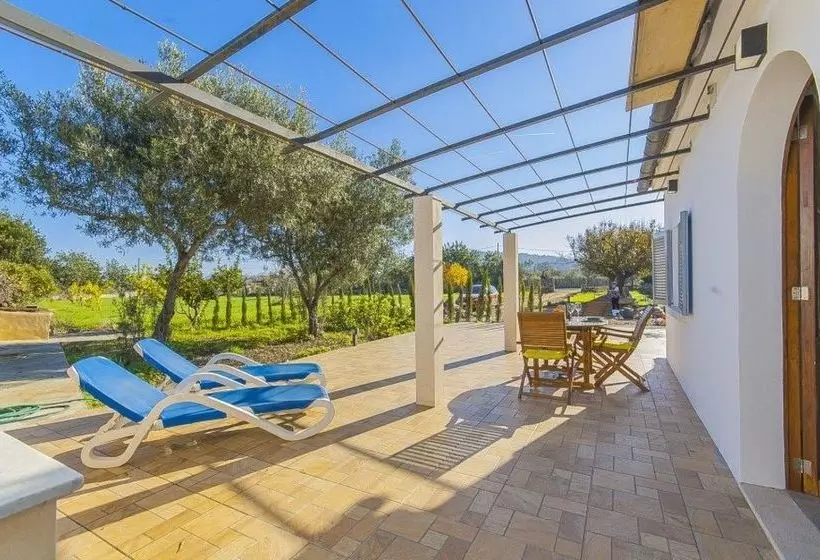 ホテル Finca Les Oliveres De Pollensa