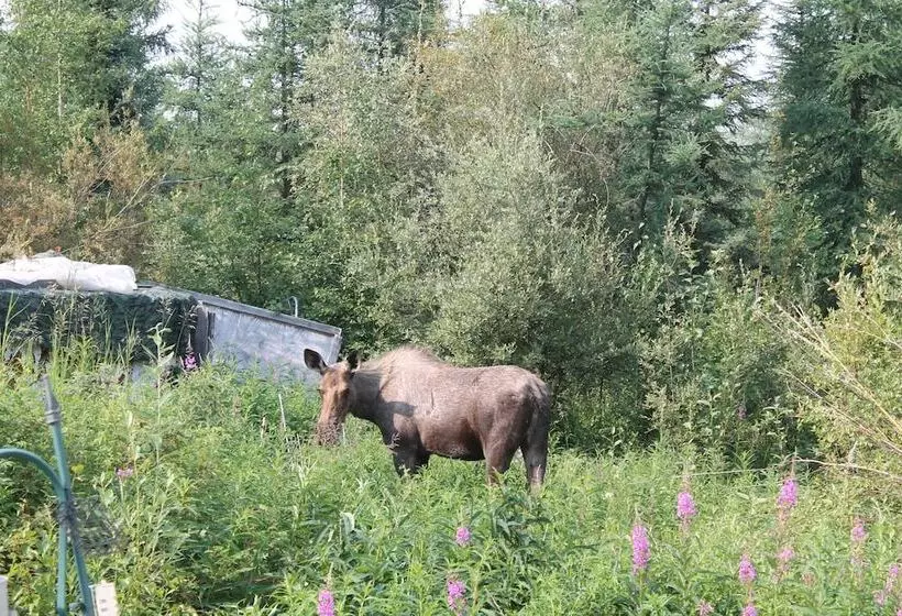 Hotelli Moose Tracks B & B