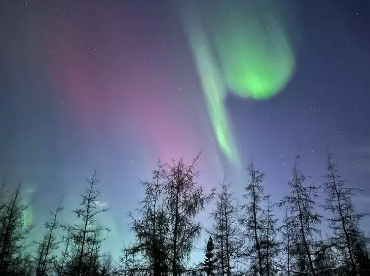 Hotelli Moose Tracks B & B