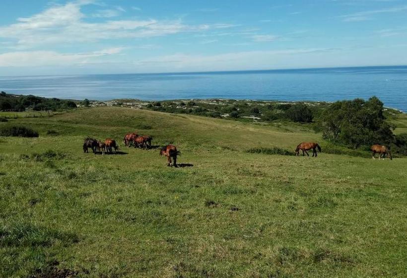 בית מלון כפרי Posada Punta Liñera