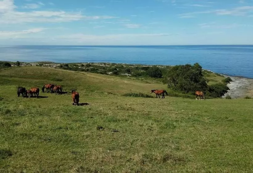 هتل Posada Punta Liñera