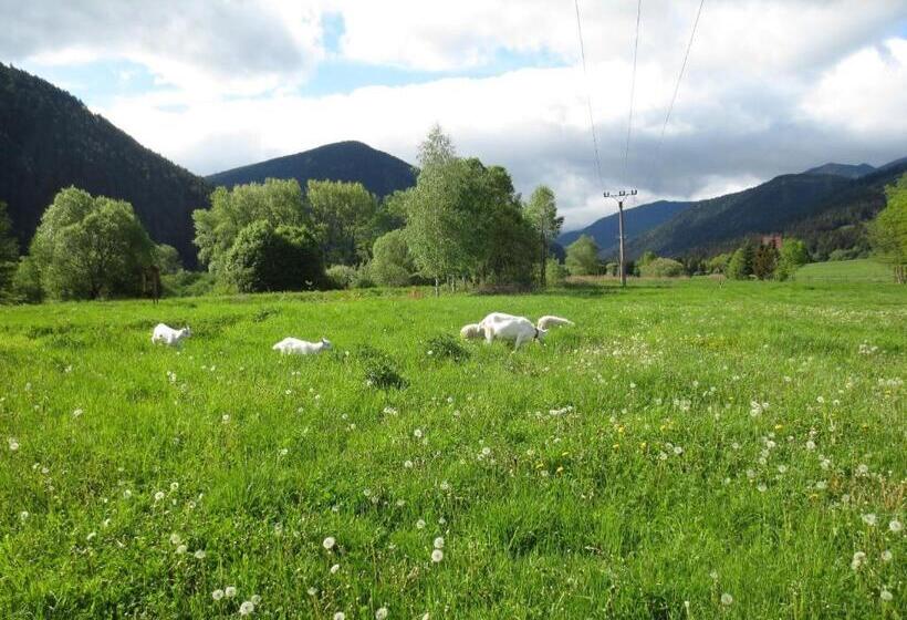 فندق Villa Victoria Penzion