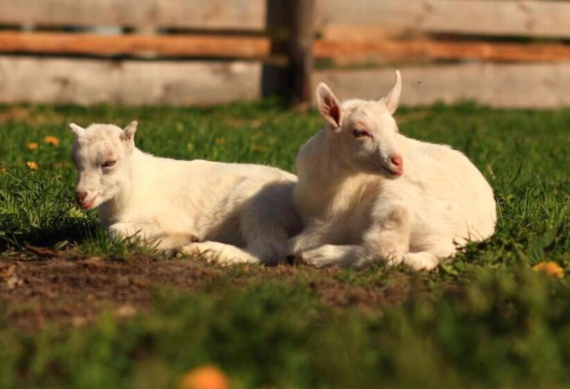 فندق Villa Victoria Penzion