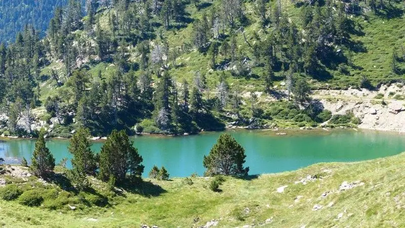 ホテル Allotjament Rural Ca L Anton
