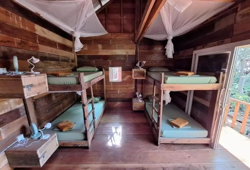 هاستل Koalama Cambodia