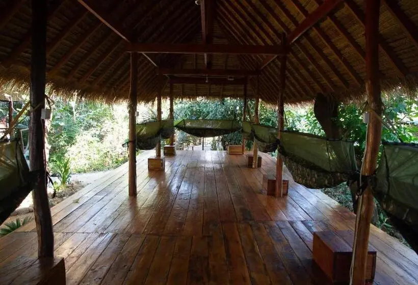 هاستل Koalama Cambodia