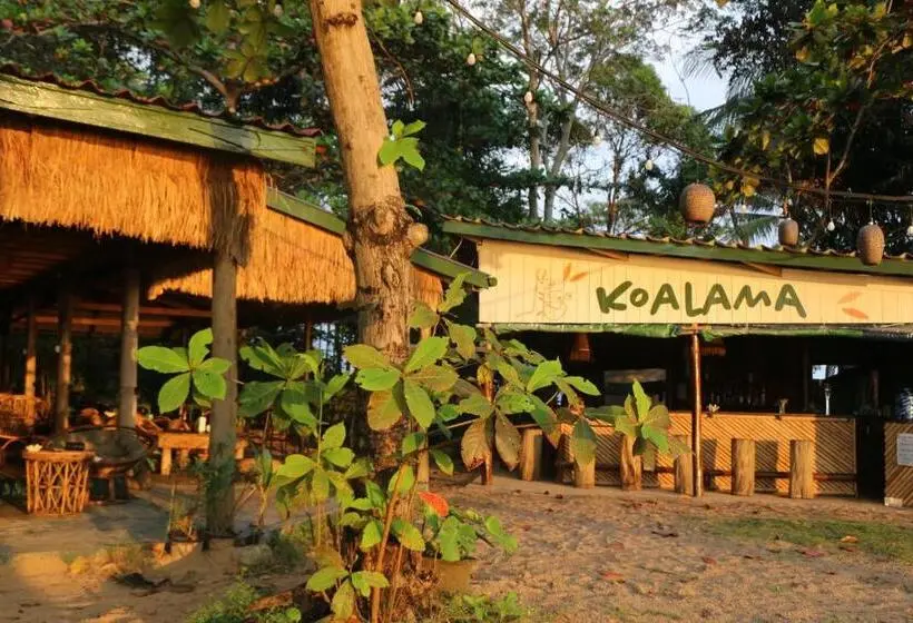 هاستل Koalama Cambodia