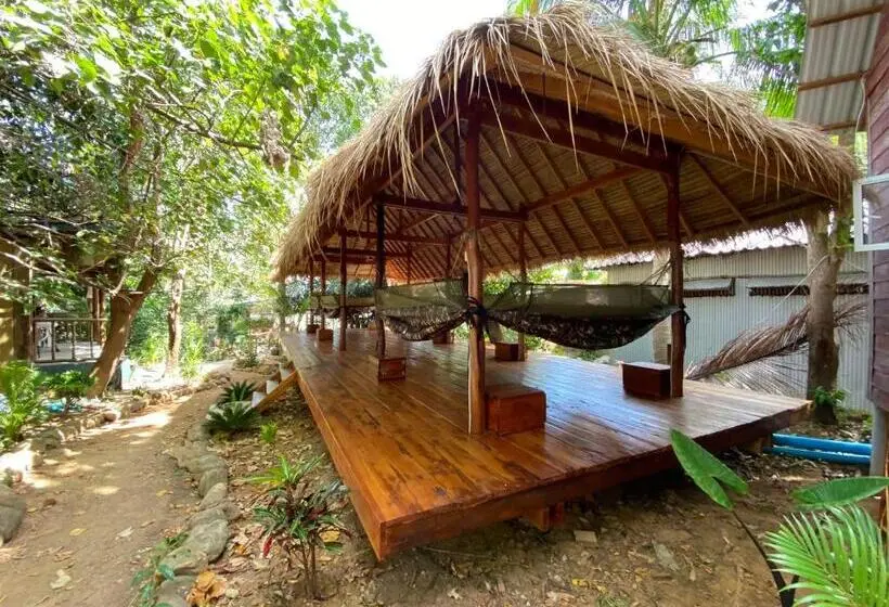 هاستل Koalama Cambodia