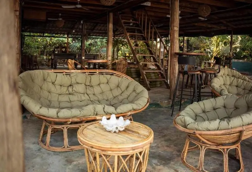 هاستل Koalama Cambodia