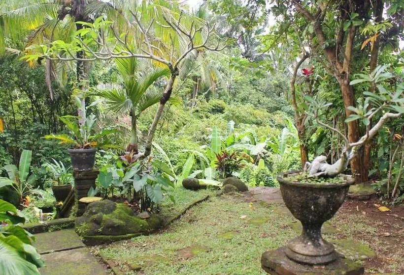 ホテル Lecuk Inn Ubud