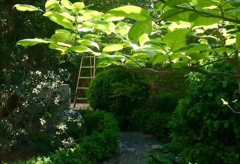 هتل Les Jardins De Baracane