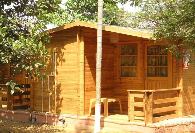 فندق Casa A 209 M Del Centro De Baga