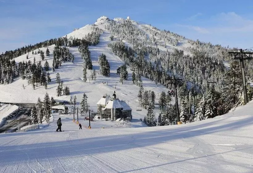 Hotelli Oak Hill Bed & Breakfast