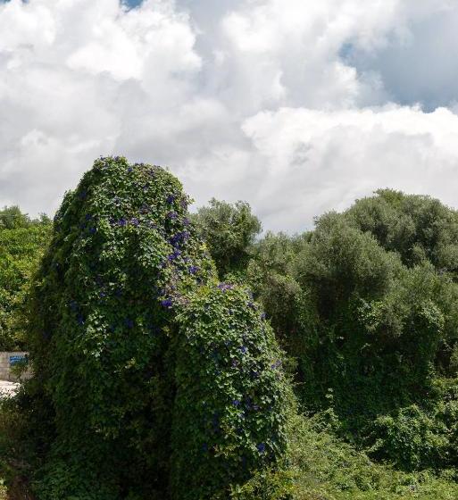 ホテル Pernari Apartments