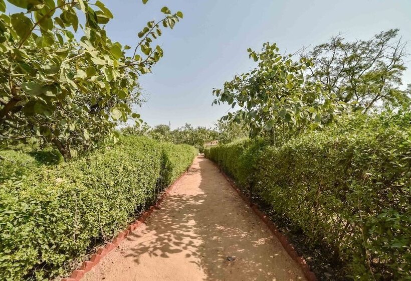 호텔 Pushkar Rajwara Resort