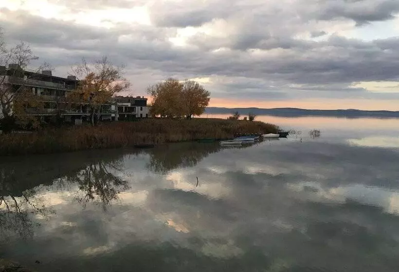 ホテル Royal Mediterran