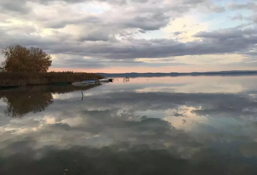 ホテル Royal Mediterran